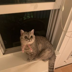 Meet your Posher, Shuanger